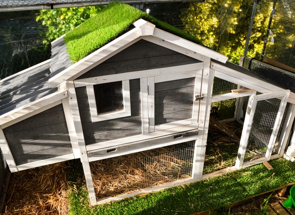 15 Unique and Functional Chicken Coop Ideas