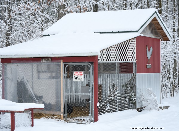 15 Unique and Functional Chicken Coop Ideas
