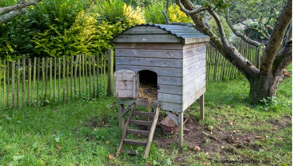 15 Unique and Functional Chicken Coop Ideas