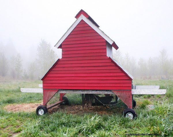 15 Unique and Functional Chicken Coop Ideas