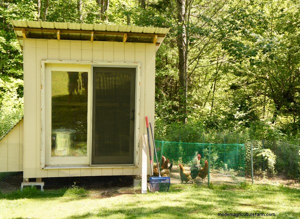 15 Unique and Functional Chicken Coop Ideas