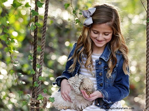 7 Reasons to Feed Your Flock a Daily Snack