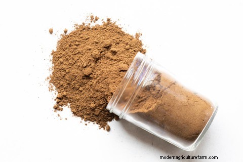 Why Grubs? An Eco-Friendly Pet Superfood