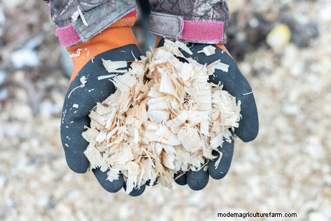 What Bedding to Use in Your Chicken Coop