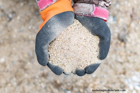 What Bedding to Use in Your Chicken Coop