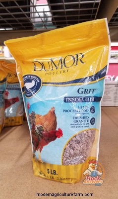 Chick Nutrition – Start to Finish