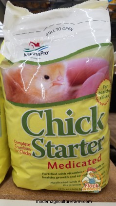 Chick Nutrition – Start to Finish
