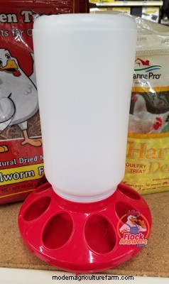 Chick Nutrition – Start to Finish