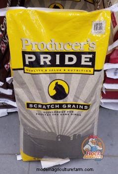 Chick Nutrition – Start to Finish