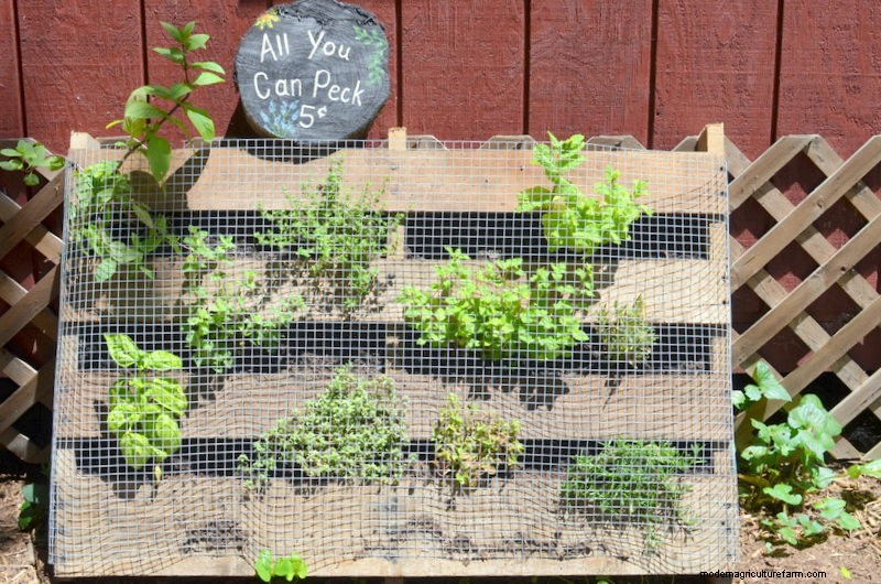 Make an Herbal Snack Bar Wall Hanging