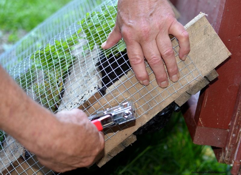 Make an Herbal Snack Bar Wall Hanging