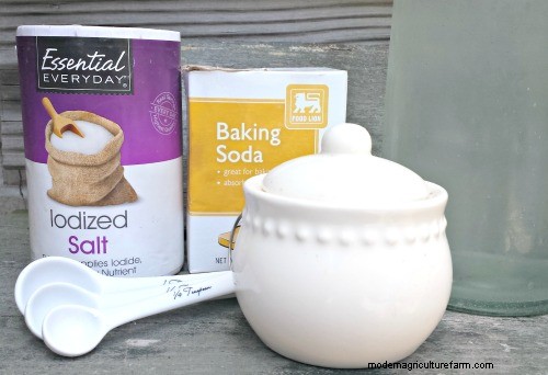 Homemade Electrolytes to Combat Heat Exhaustion In Chickens