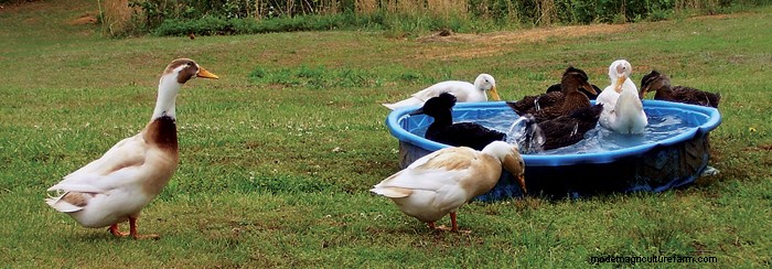 It’s HOT Out There!