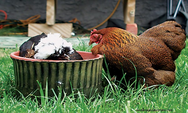 It’s HOT Out There!