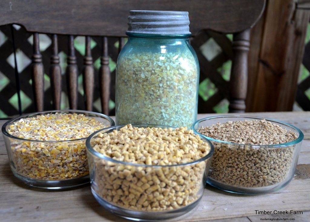 Chicken Feed: Does Brand Matter?