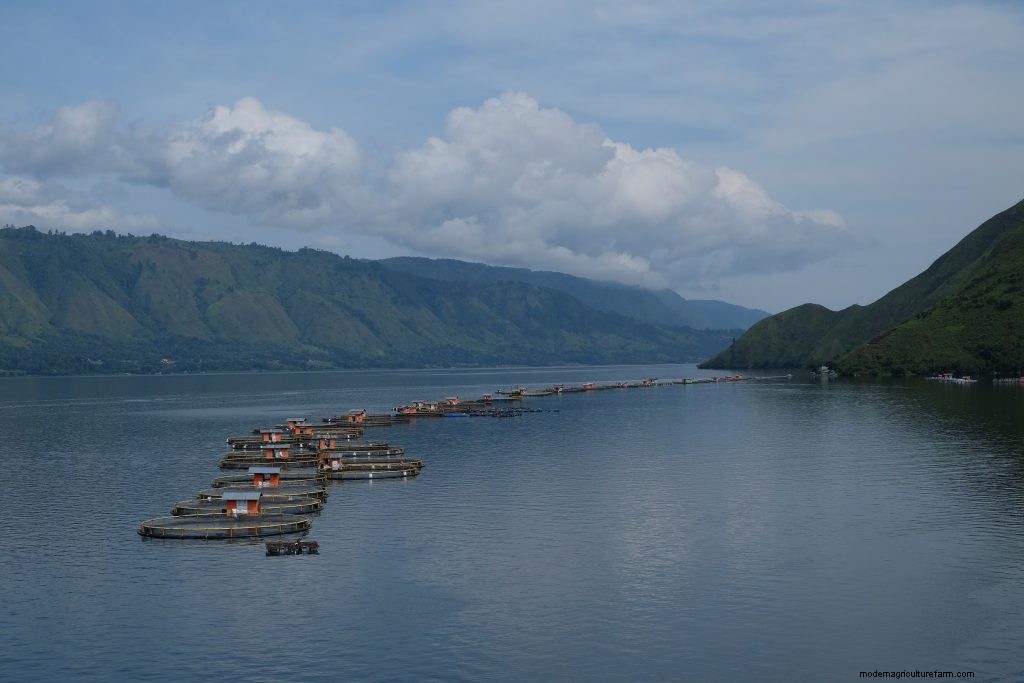 The Regal Springs Family: The People Behind the Fish