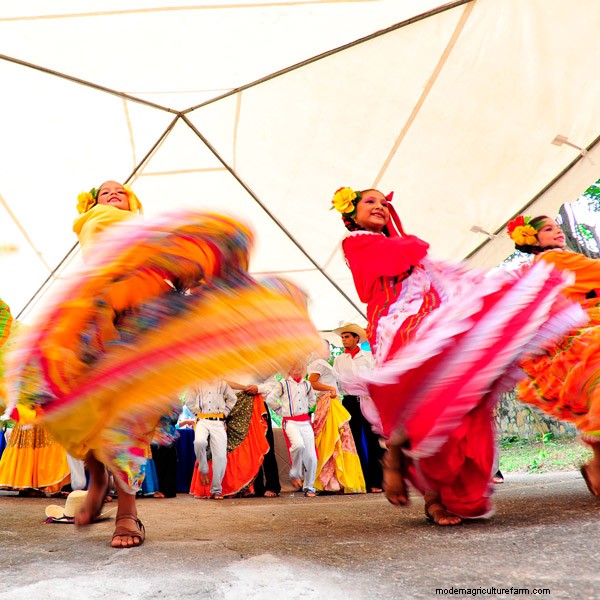 The Regal Springs Family: The People Behind the Fish