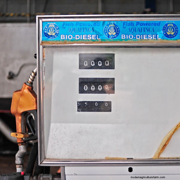 How Aquaculture and Agriculture Can Work in Harmony