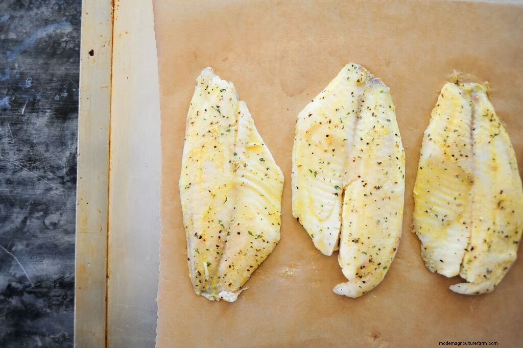 Modern Lent: 6 Ways to Observe