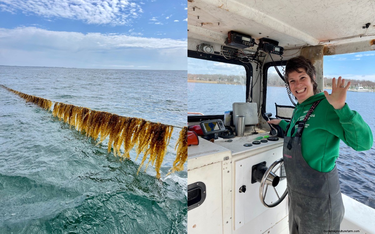 Women Are Charting New Paths on Changing Waters