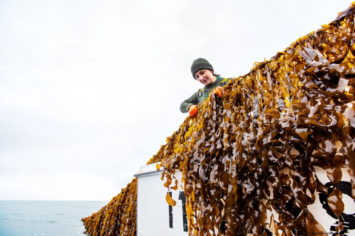 Women Are Charting New Paths on Changing Waters