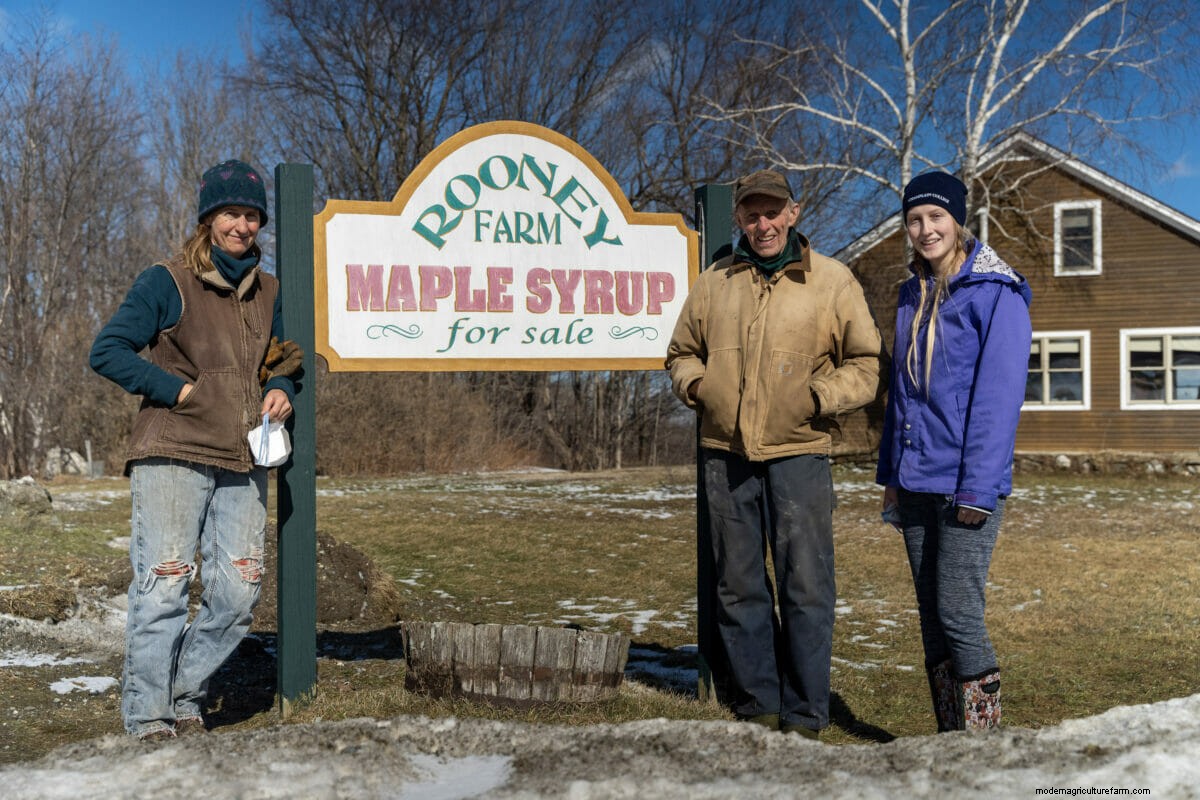 Can the Northeast’s Organic Dairy Farms Be Saved?