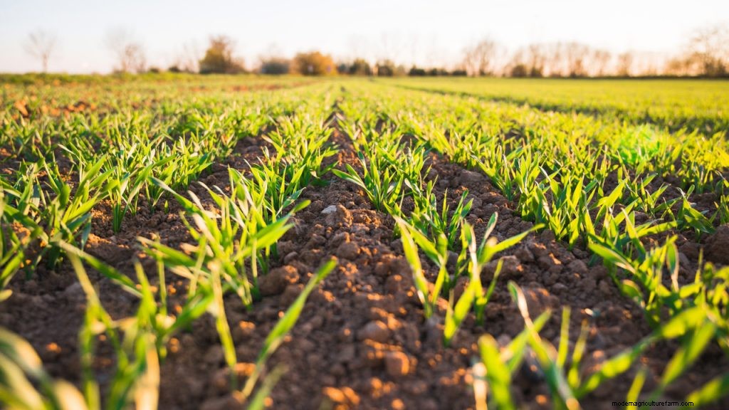 Why Were Industrial and Agricultural Surpluses a Problem for the U.S. Economy?