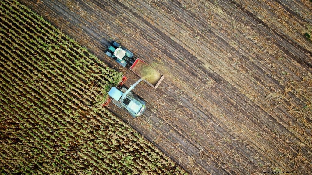 Why Were Industrial and Agricultural Surpluses a Problem for the U.S. Economy?