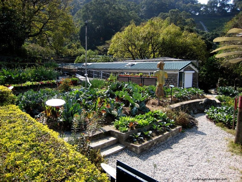 12 Farming Types: And All You Need to Know About Them!