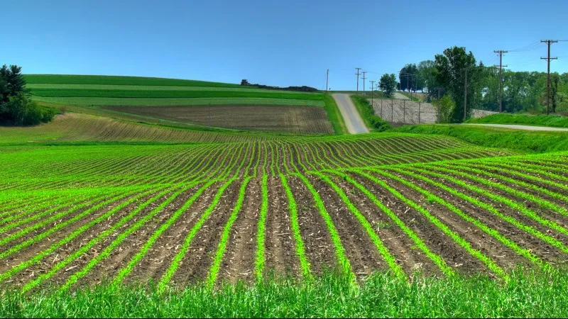 12 Farming Types: And All You Need to Know About Them!