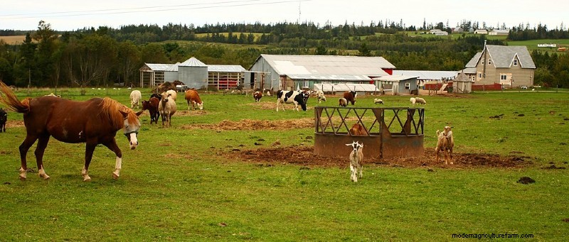 What is Organic Farming?