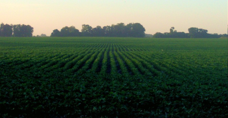 What is Organic Farming?