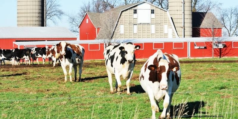 11 Different Types Of Farms to Understand Farming