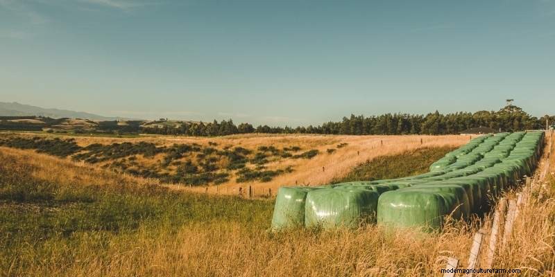 11 Different Types Of Farms to Understand Farming
