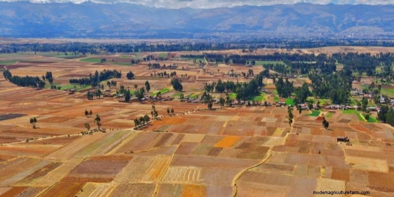 11 Different Types Of Farms to Understand Farming