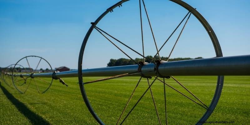 11 Different Types Of Farms to Understand Farming