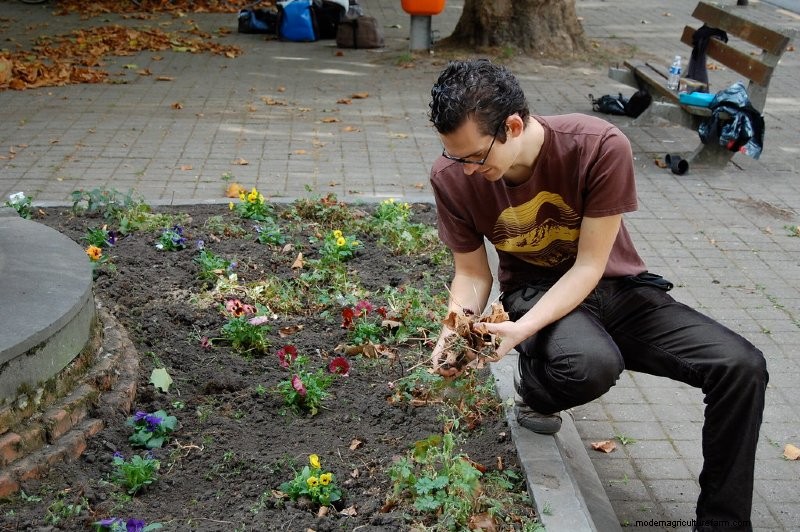 What is Guerilla Gardening and What are Seed Bombs?