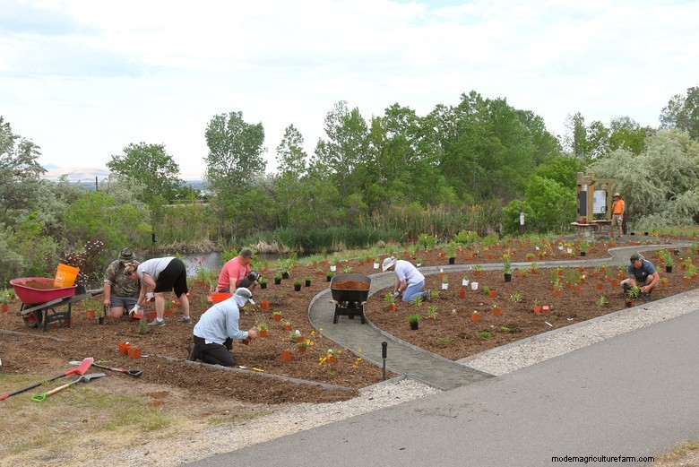 Big Guide for Planning Your Ideal Garden