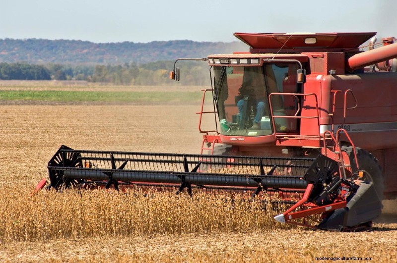 Planting and Growing Soybeans: Everything You Need to Know