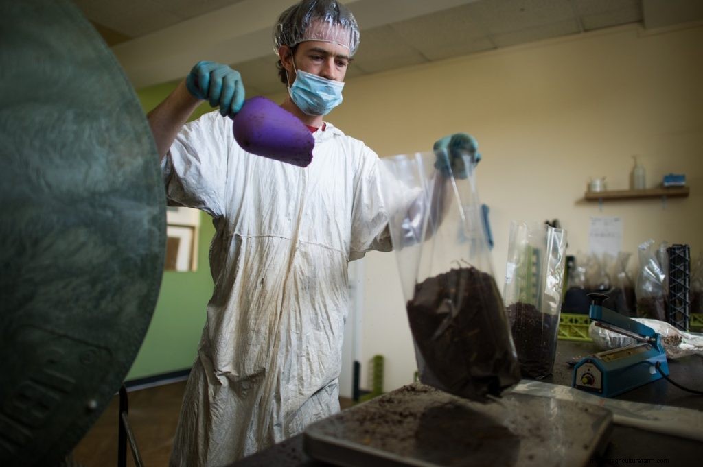 Mushroom Farming Business Plan: How To Start a Mushroom Business