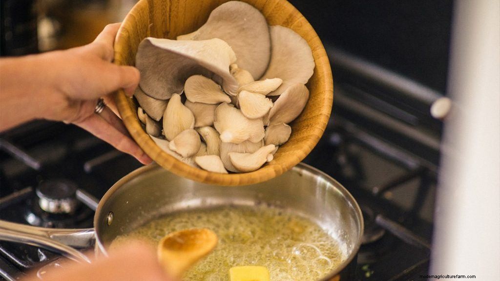 How To Grow Oyster Mushrooms: The Ultimate Step By Step Guide