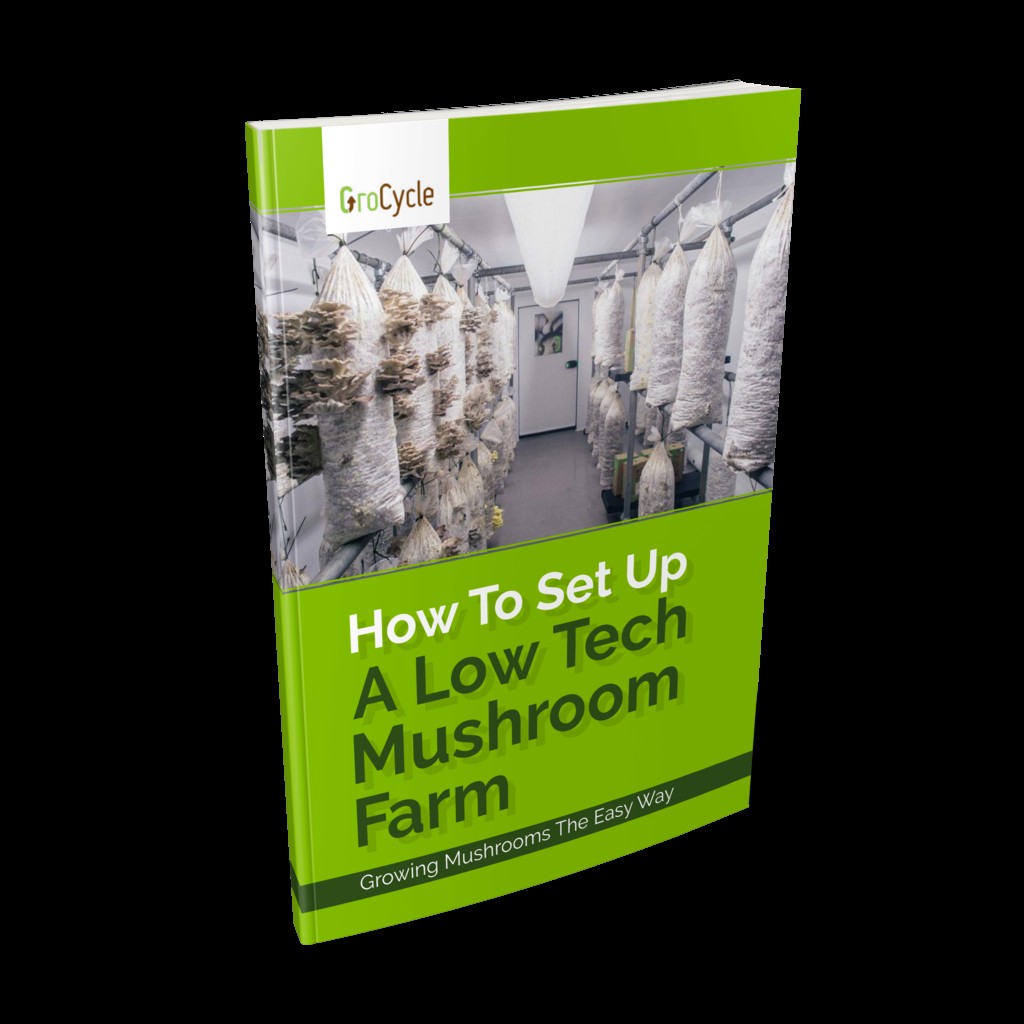 How To Set Up A Low Tech Mushroom Farm