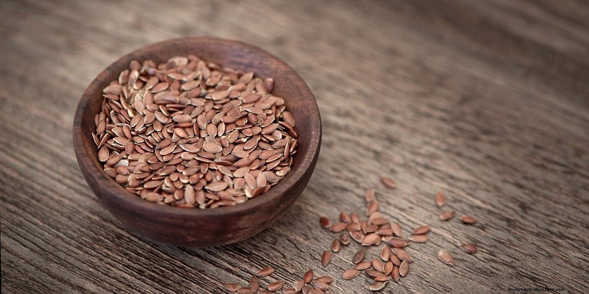 How To Grow Microgreens: The Ultimate Guide