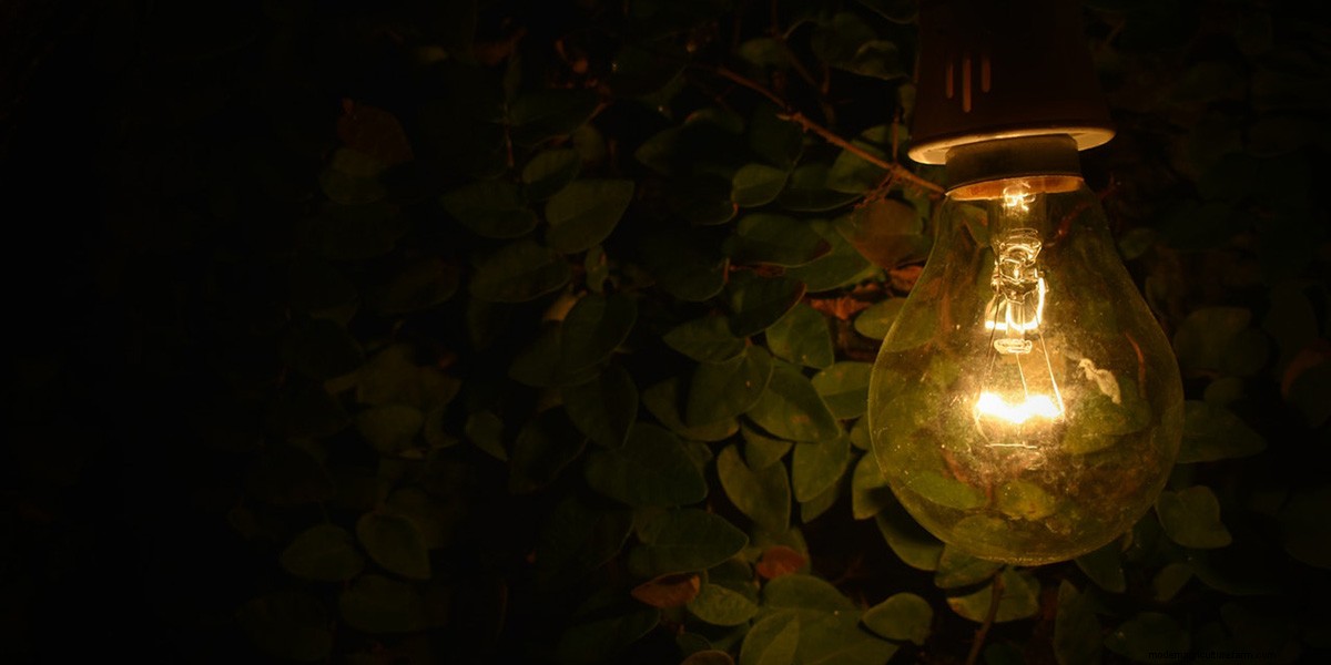 How To Grow Microgreens: The Ultimate Guide