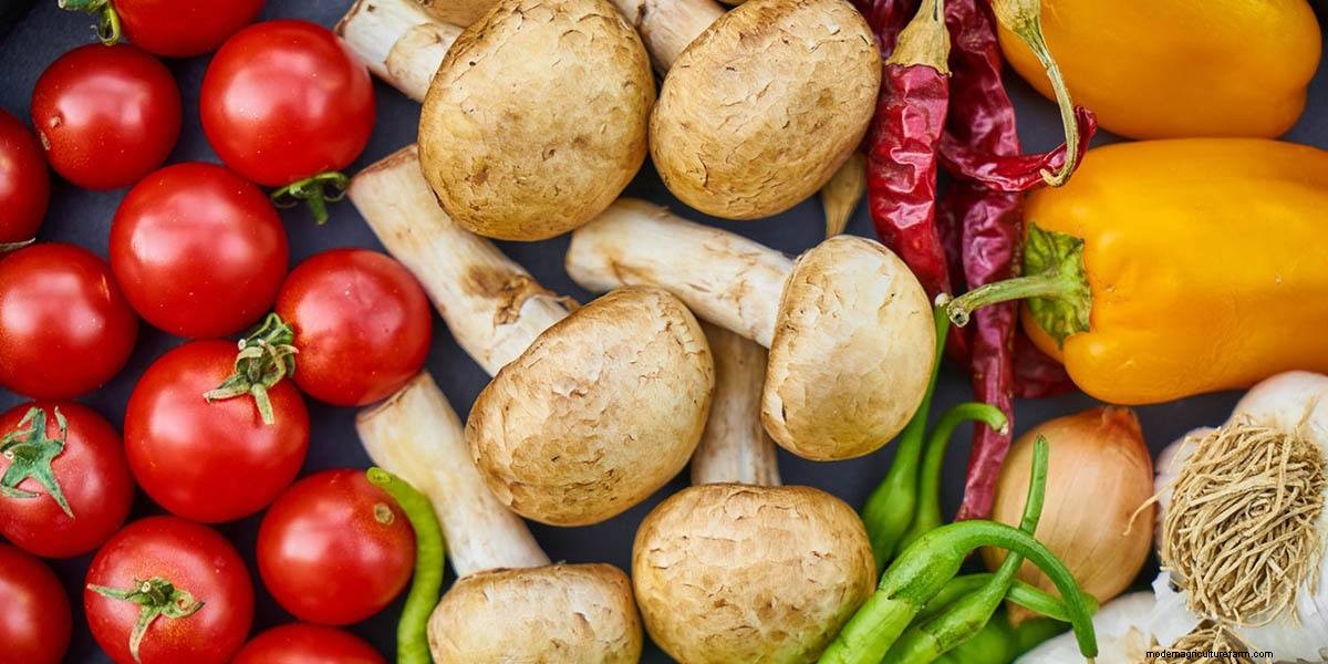 How To Cook Mushrooms: The Right Way!