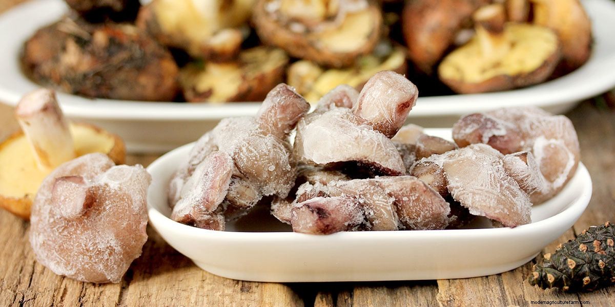 How To Cook Mushrooms: The Right Way!