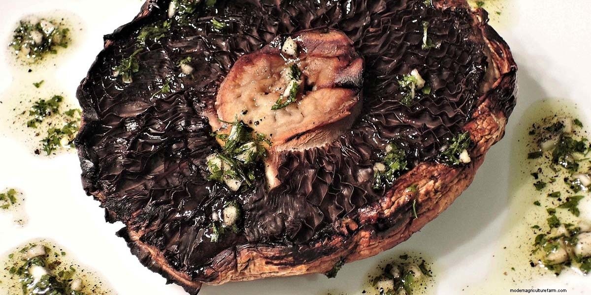 How To Cook Mushrooms: The Right Way!