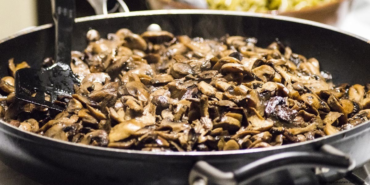 How To Cook Mushrooms: The Right Way!