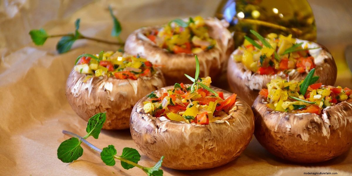 How To Cook Mushrooms: The Right Way!