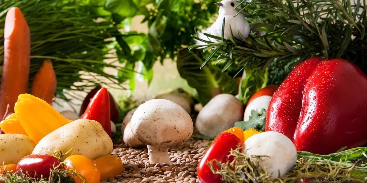 How To Cook Mushrooms: The Right Way!